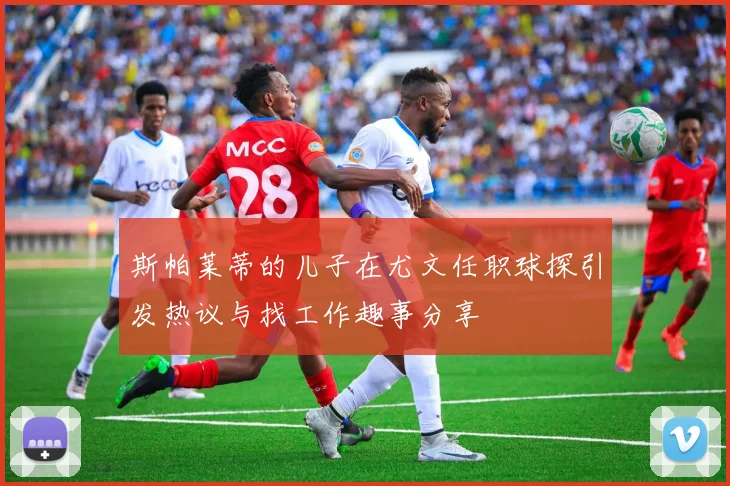 斯帕莱蒂的儿子在尤文任职球探引发热议与找工作趣事分享