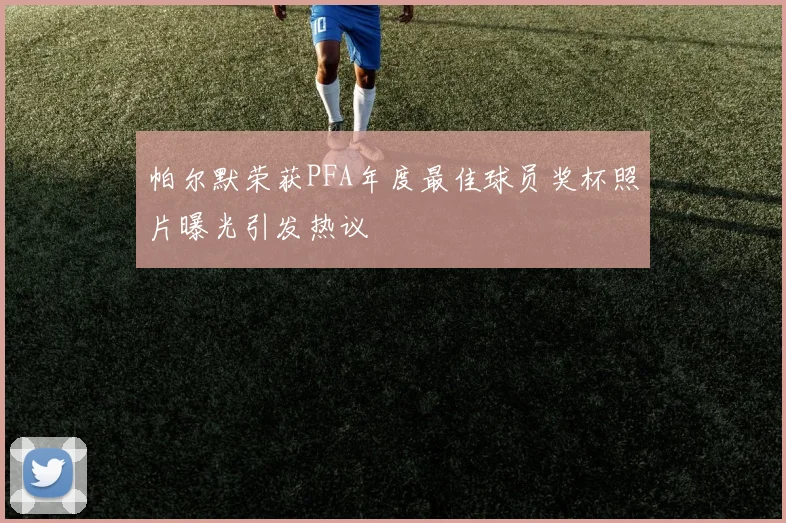帕尔默荣获PFA年度最佳球员奖杯照片曝光引发热议