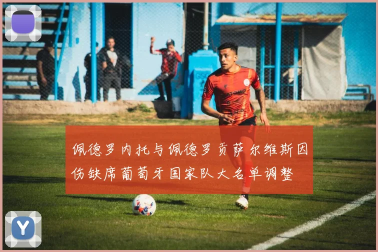 佩德罗内托与佩德罗贡萨尔维斯因伤缺席葡萄牙国家队大名单调整