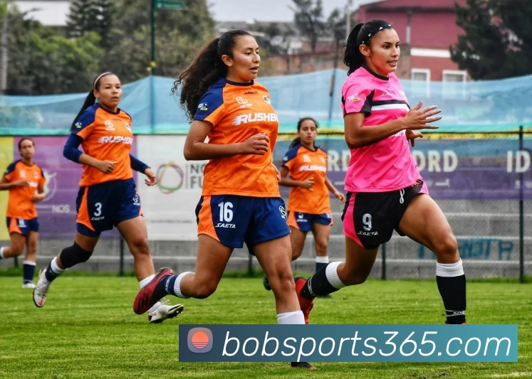 bob体育APP 封面图