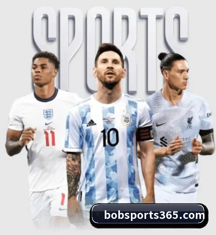 本站五个常用功能入口,赛程查询路径更短（bob）